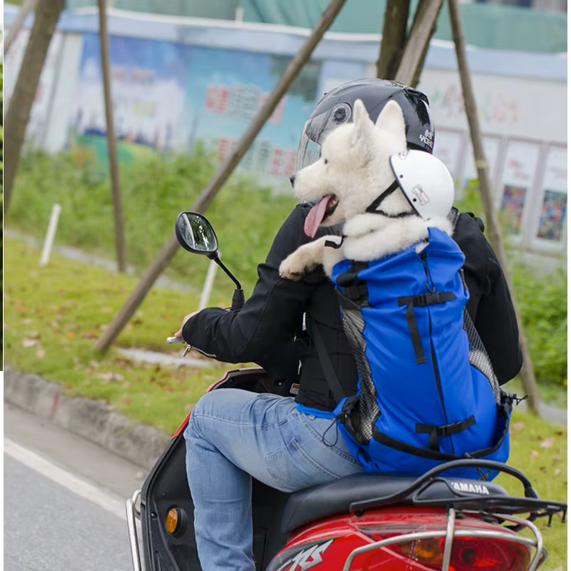 PetPawJoy™ Frenchie Adventure Backpack