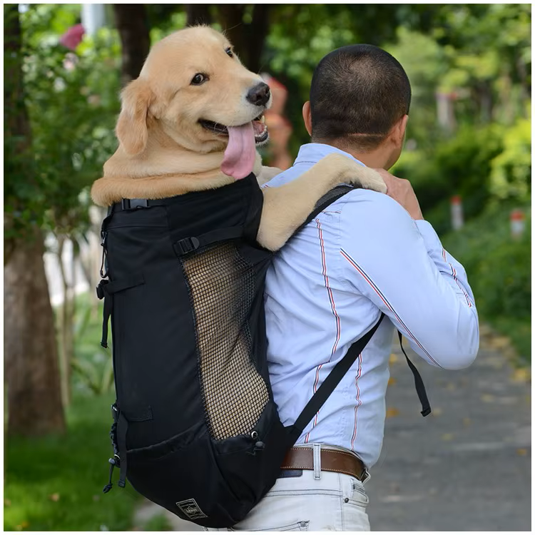 PetPawJoy™ Frenchie Adventure Backpack