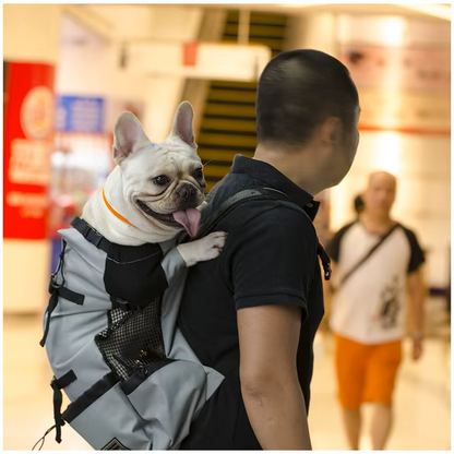 PetPawJoy™ Frenchie Adventure Backpack