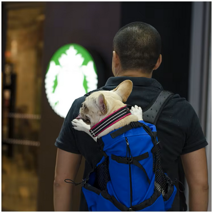 PetPawJoy™ Frenchie Adventure Backpack