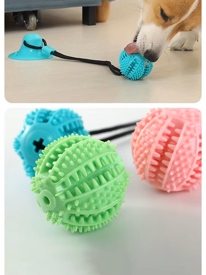 PetPawJoy™ Tug & Treat Suction Ball